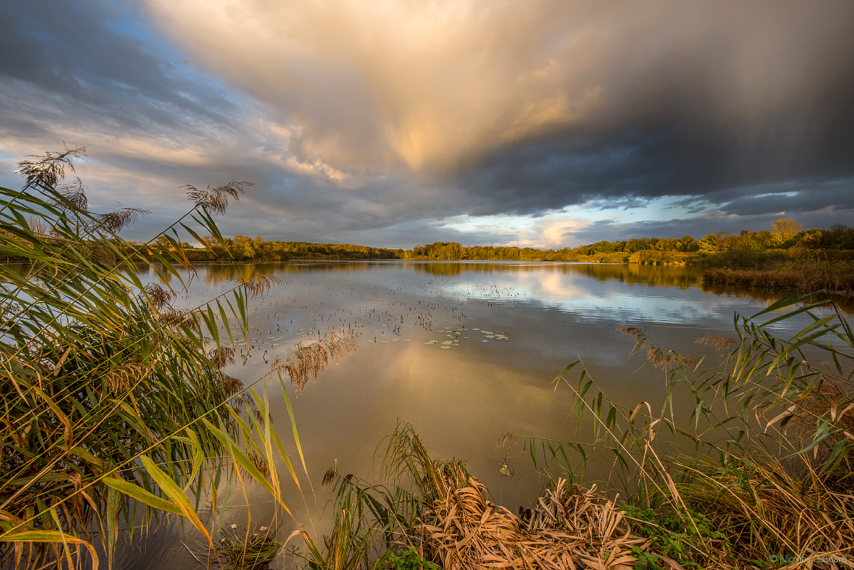 J’agis pour préserver
